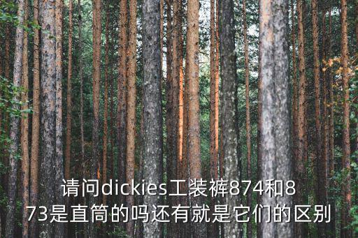 請問dickies工裝褲874和873是直筒的嗎還有就是它們的區別