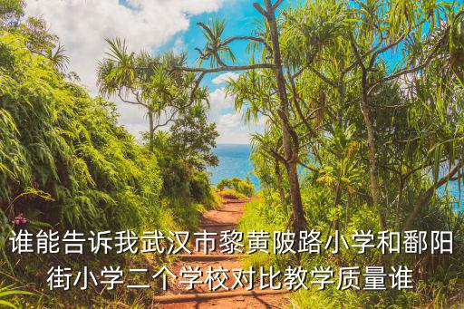 誰能告訴我武漢市黎黃陂路小學和鄱陽街小學二個學校對比教學質量誰