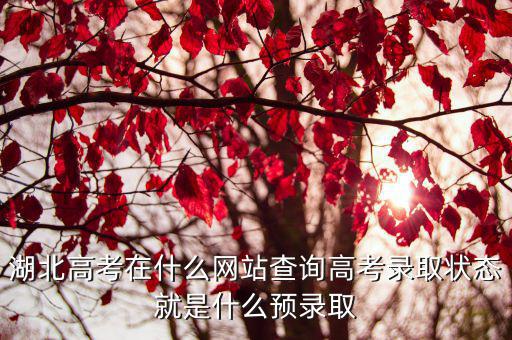湖北高考錄取查詢，湖北考生怎樣在網上查詢是否被錄取