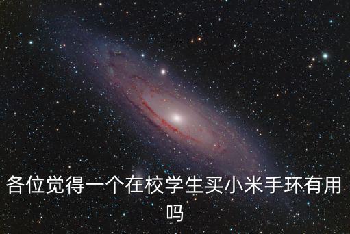 各位覺得一個在校學生買小米手環(huán)有用嗎