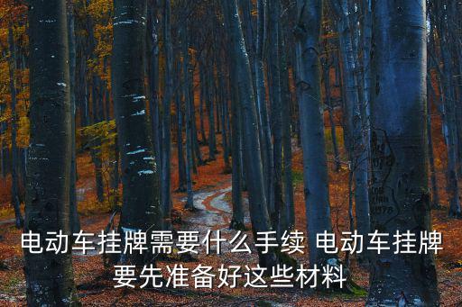 電動車掛牌，電動車掛牌需要什么手續 電動車掛牌要先準備好這些材料