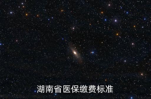 湖南省醫(yī)保繳費(fèi)標(biāo)準(zhǔn)