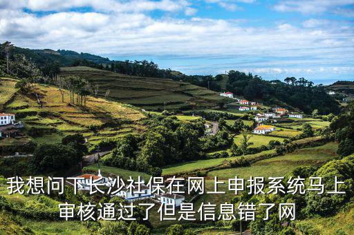 長沙社保12333，我想問下長沙社保在網上申報系統馬上審核通過了但是信息錯了網