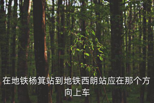 在地鐵楊箕站到地鐵西朗站應(yīng)在那個方向上車