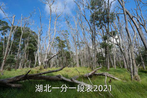 湖北一分一段表2021
