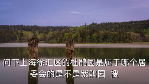 問下上海徐匯區(qū)的杜鵑園是屬于哪個居委會的是不是紫鵑園  搜
