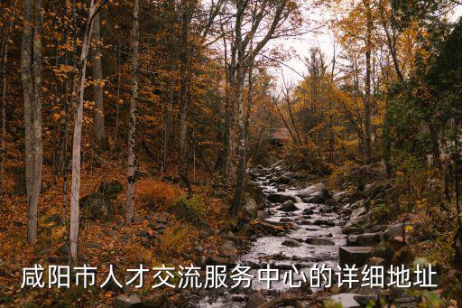 咸陽市人才交流服務中心的詳細地址