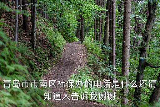 青島社保電話，青島市市南區社保辦的電話是什么還請知道人告訴我謝謝