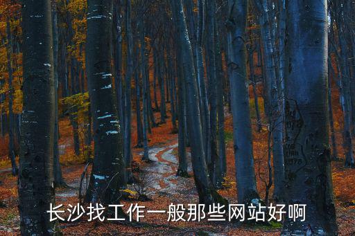 長沙找工作一般那些網站好啊
