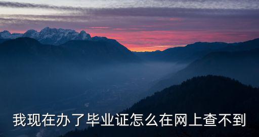 我現在辦了畢業證怎么在網上查不到