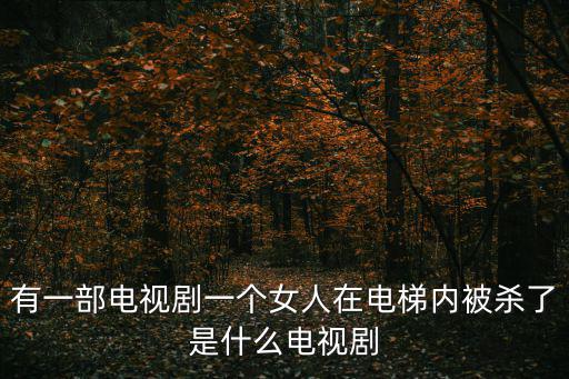 有一部電視劇一個女人在電梯內被殺了是什么電視劇