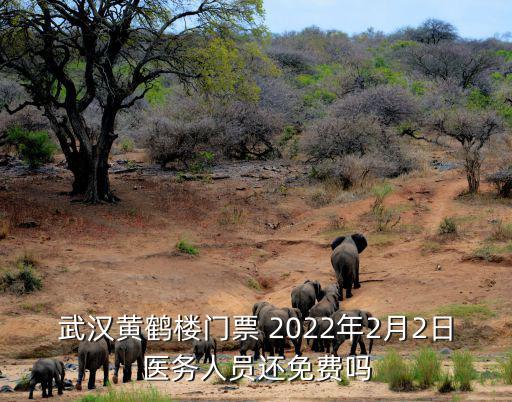 武漢黃鶴樓門票 2022年2月2日醫務人員還免費嗎