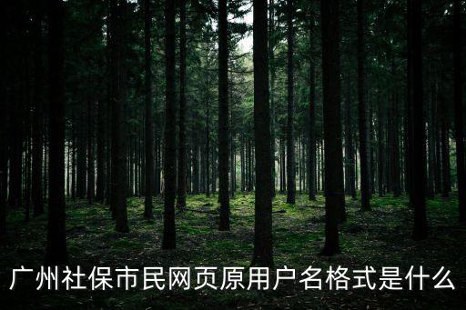 廣州社保市民網(wǎng)頁(yè)原用戶名格式是什么