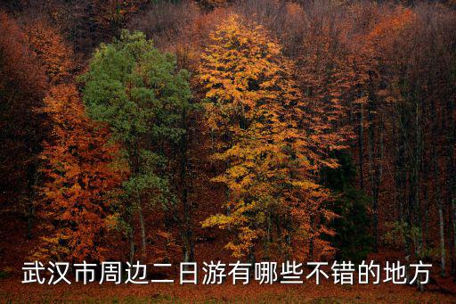 武漢市周邊二日游有哪些不錯(cuò)的地方