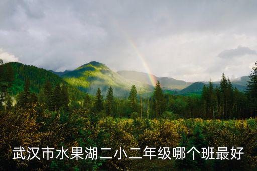武漢市水果湖二小二年級哪個班最好