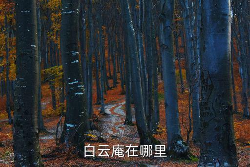 白云庵在哪里