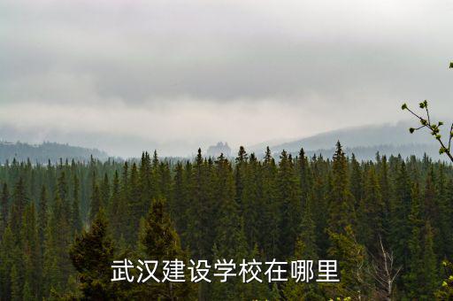 武漢建設學校在哪里