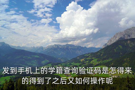 發到手機上的學籍查詢驗證碼是怎得來的得到了之后又如何操作呢