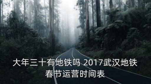 大年三十有地鐵嗎 2017武漢地鐵春節運營時間表