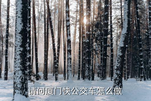 請問廈門快公交車怎么做