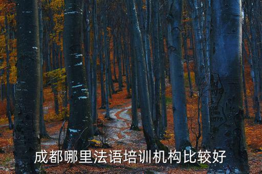 成都哪里法語培訓機構比較好