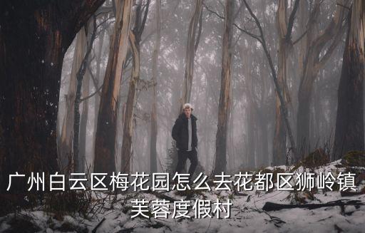 廣州白云區梅花園怎么去花都區獅嶺鎮芙蓉度假村