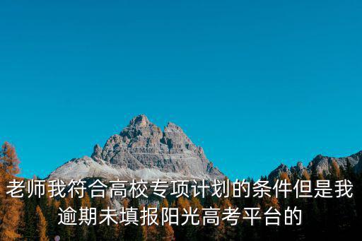 老師我符合高校專項(xiàng)計(jì)劃的條件但是我逾期未填報(bào)陽(yáng)光高考平臺(tái)的