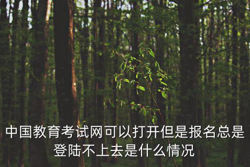 中國(guó)教育考試網(wǎng)可以打開(kāi)但是報(bào)名總是登陸不上去是什么情況