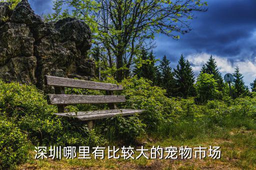深圳哪里有比較大的寵物市場