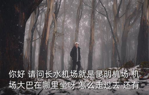 你好 請問長水機場就是昆明機場 機場大巴在哪里坐呀 怎么走過去 還有