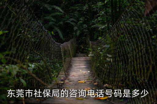 東莞市社保局的咨詢電話號碼是多少
