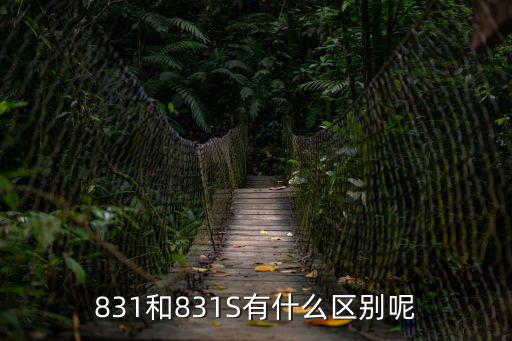 831和831S有什么區別呢