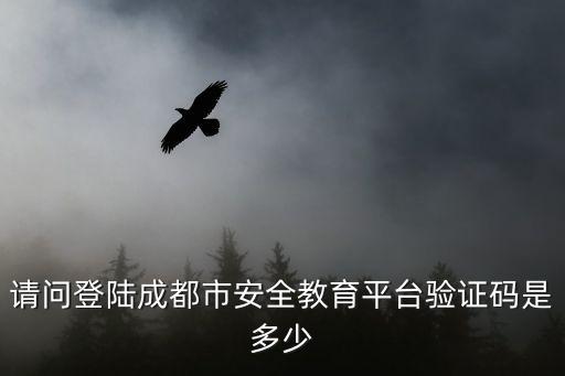 請問登陸成都市安全教育平臺驗證碼是多少