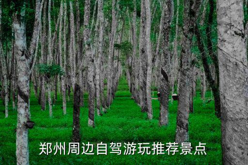 鄭州周邊自駕游玩推薦景點(diǎn)