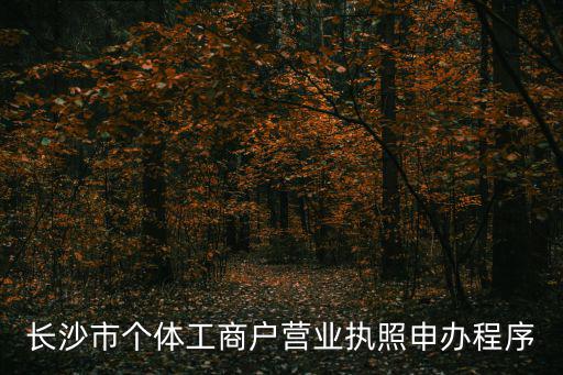 長沙市個體工商戶營業執照申辦程序
