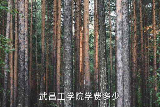 武昌工學院學費多少