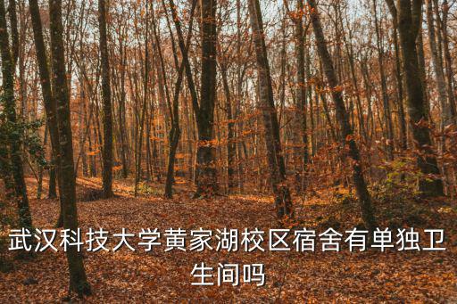 武漢科技大學(xué)黃家湖校區(qū)宿舍有單獨(dú)衛(wèi)生間嗎