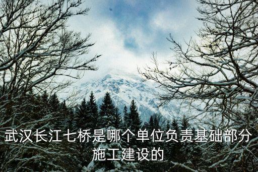 江漢七橋，武漢長(zhǎng)江七橋是哪個(gè)單位負(fù)責(zé)基礎(chǔ)部分施工建設(shè)的