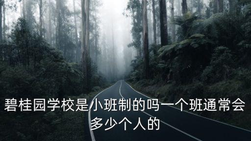 碧桂園學校是小班制的嗎一個班通常會多少個人的
