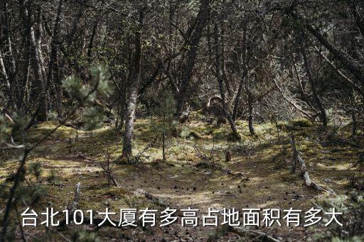 臺北101大廈多高，臺北101大樓多高