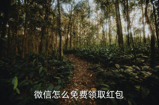 微信怎么免費(fèi)領(lǐng)取紅包