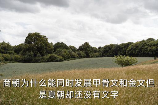 商朝為什么能同時發展甲骨文和金文但是夏朝卻還沒有文字