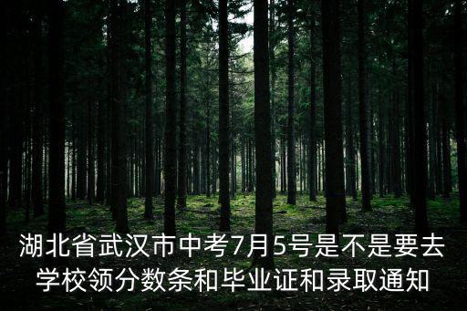 武漢中考分?jǐn)?shù)查詢，湖北省武漢市中考7月5號(hào)是不是要去學(xué)校領(lǐng)分?jǐn)?shù)條和畢業(yè)證和錄取通知