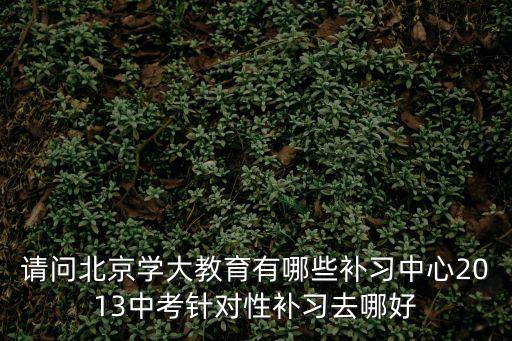 2022考研分數線，請問北京學大教育有哪些補習中心2013中考針對性補習去哪好