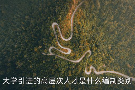 大學(xué)引進(jìn)的高層次人才是什么編制類別