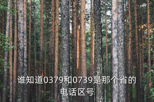 誰知道0379和0739是那個省的電話區號