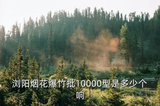 瀏陽煙花爆竹批10000型是多少個響