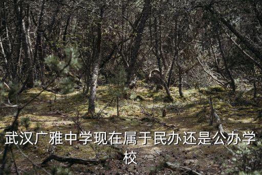 武漢廣雅中學(xué)現(xiàn)在屬于民辦還是公辦學(xué)校