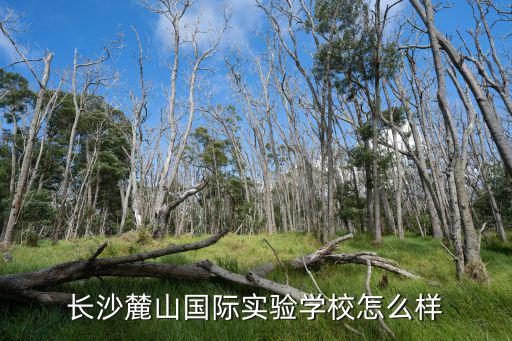長沙麓山國際實(shí)驗(yàn)學(xué)校怎么樣