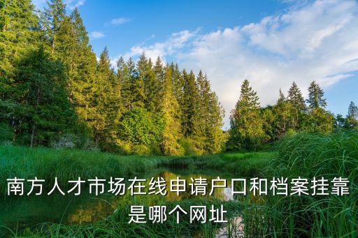 在線申請，淘寶上在線申請支付寶卡通服務(wù)